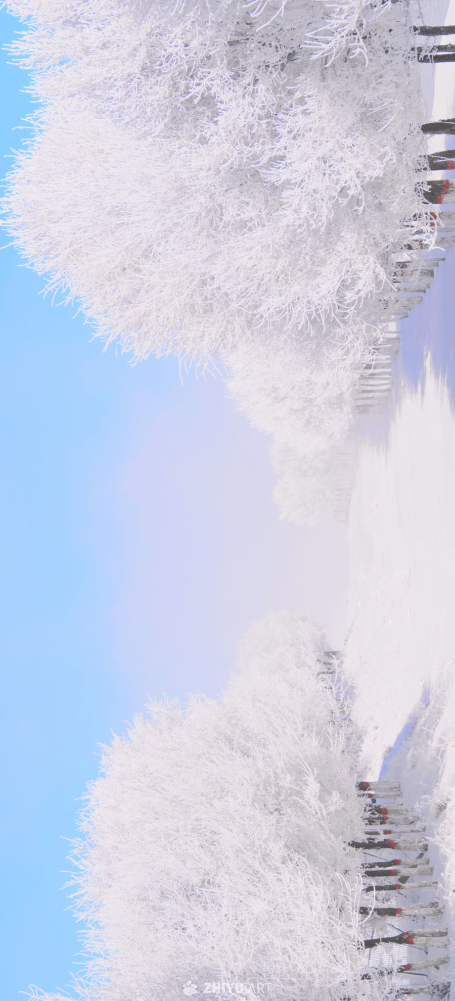 暴雪已至
