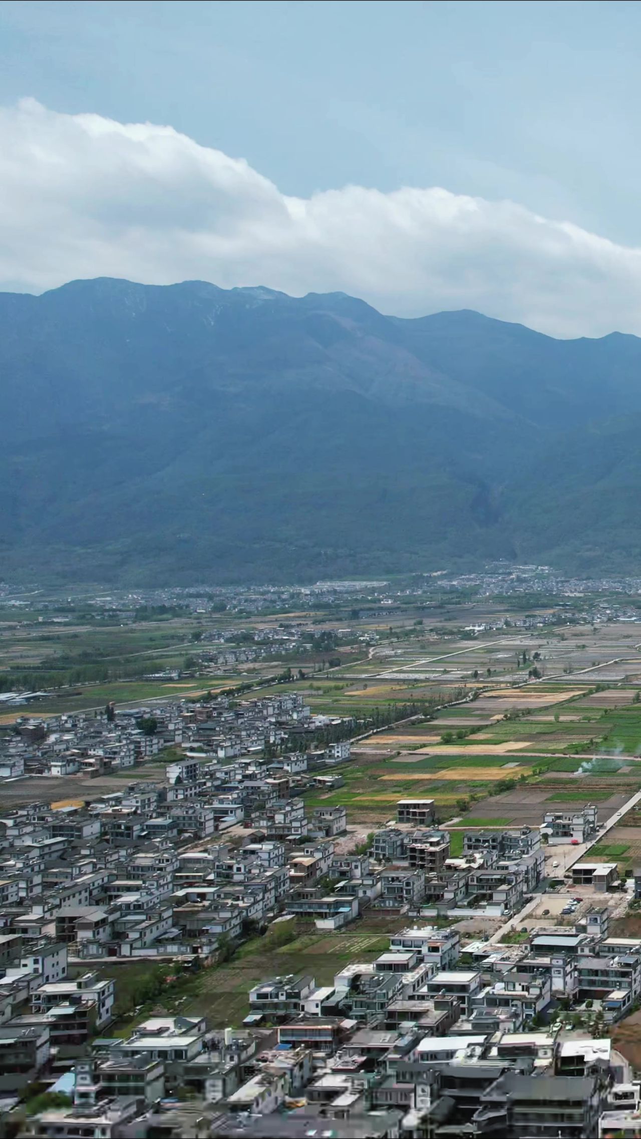 乡村田园农业种植竖屏航拍 