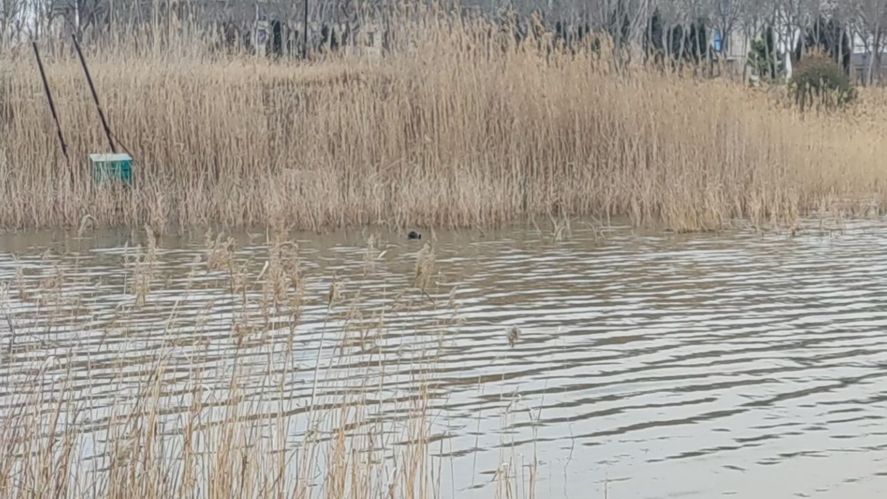 春景