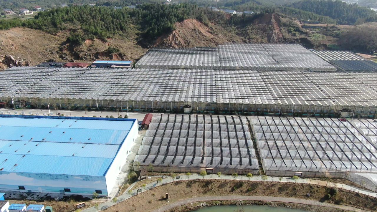 航拍现代农业大棚种植基地