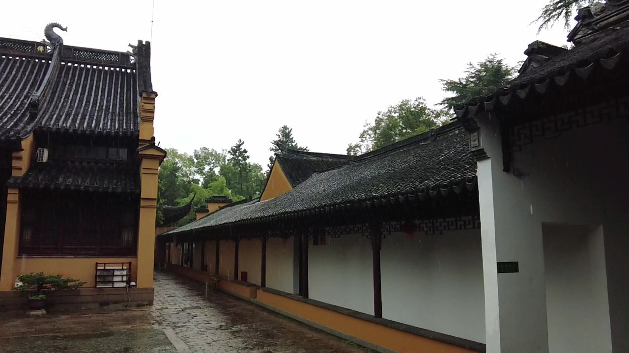 下雨素材雨水雨滴实拍 