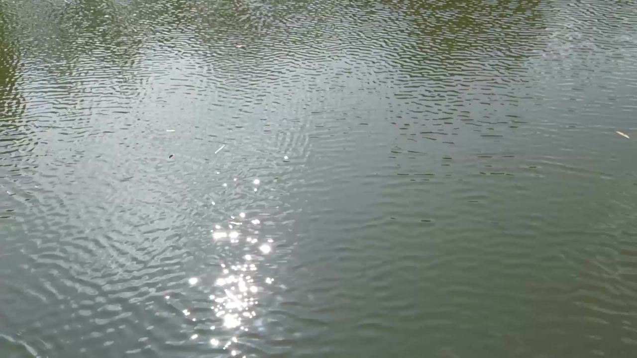 午后的湖
