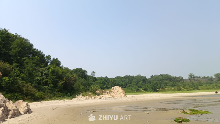 宁静沙滩与绿树相伴