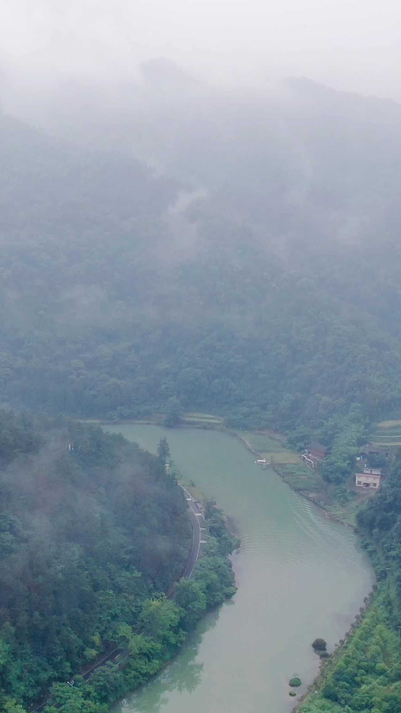 自然风光绿色森林山谷清晨云雾竖屏航拍  