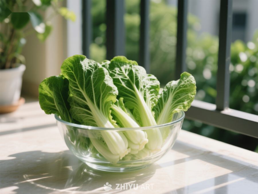 新鲜小白菜置于透明碗中 553