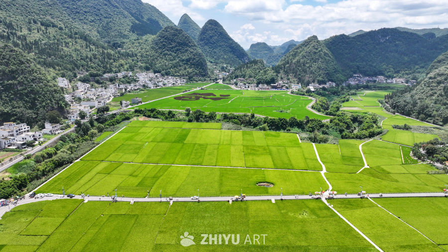 贵州兴义万峰林稻田 12
