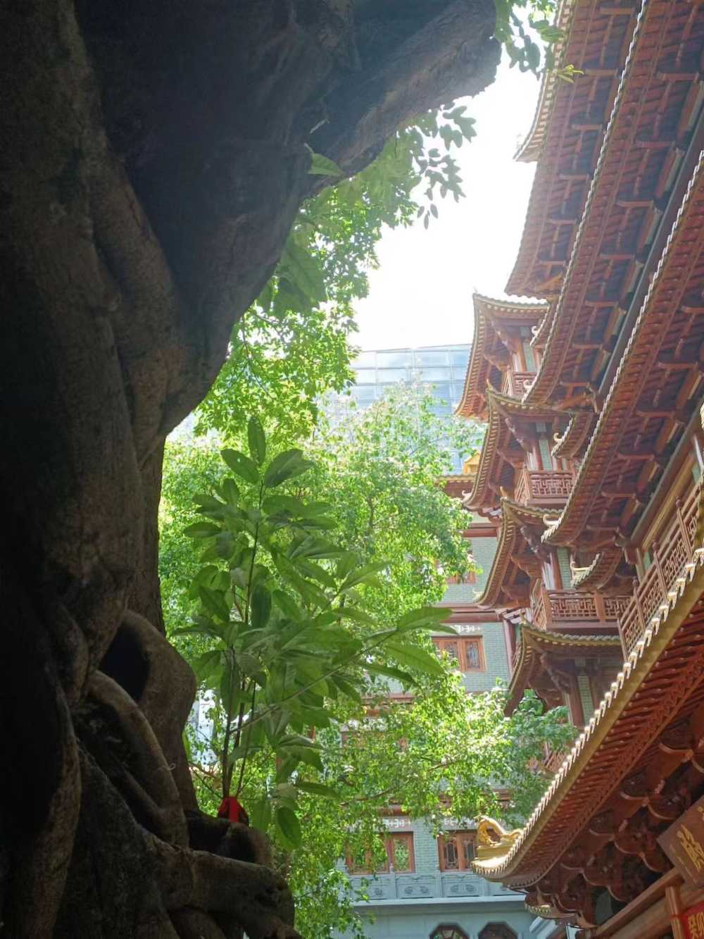 寺院一角