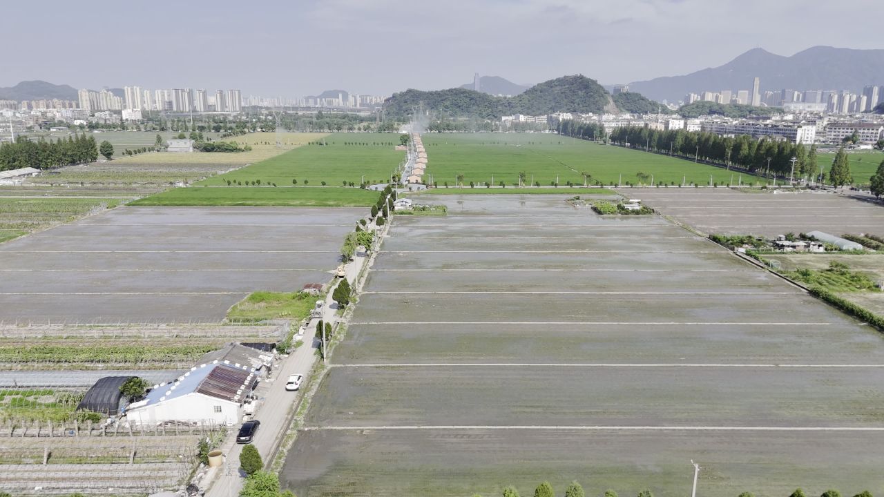 立秋浓忙 4