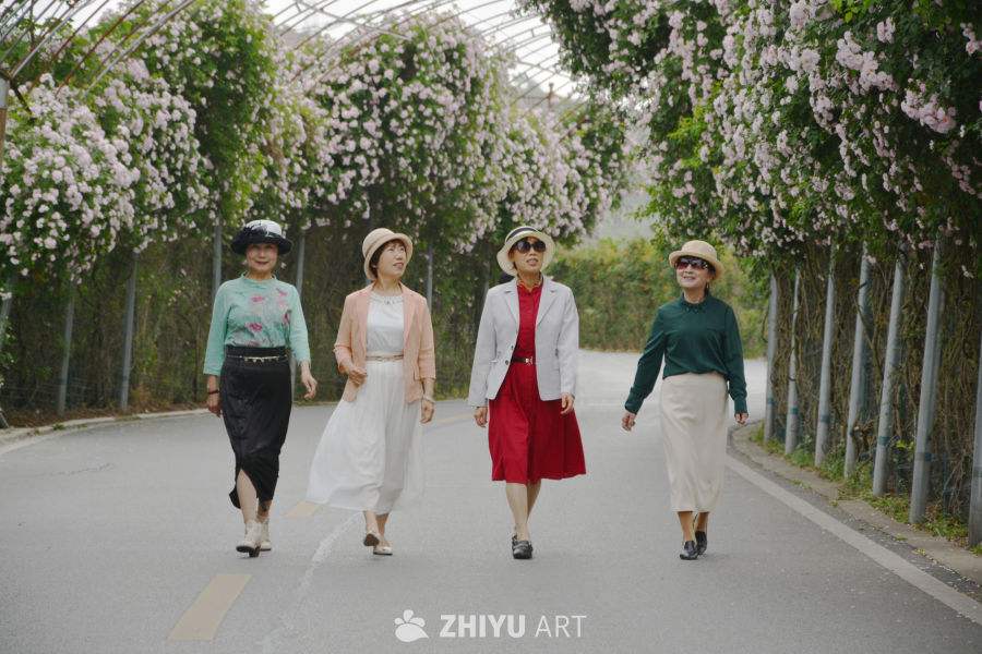漫步蔷薇花海
