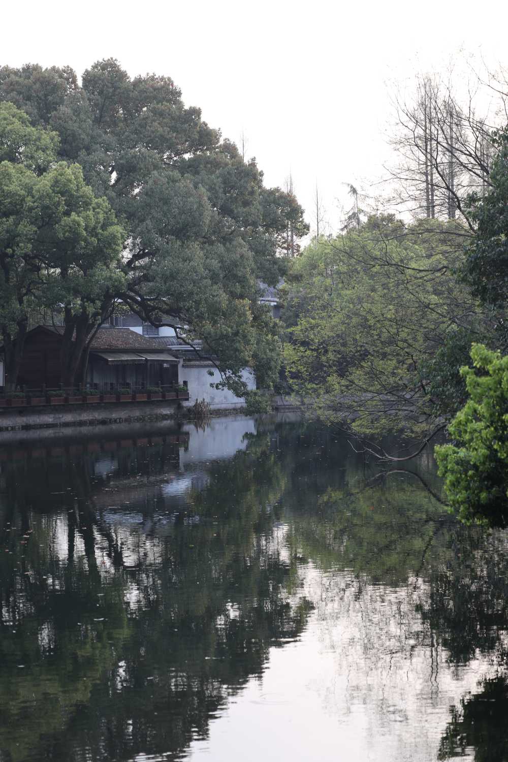 杂乱无章