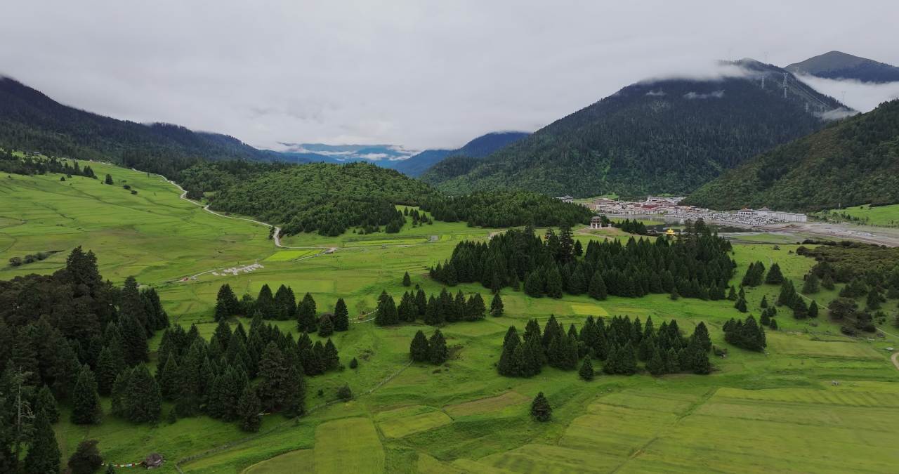 西藏林芝鲁朗小镇云海村庄田园风光唯美航拍