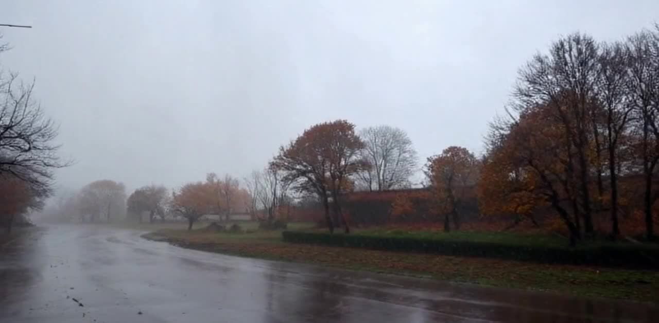 一条湿漉漉的道路在雨雾中延伸，道路两旁是树木，一些