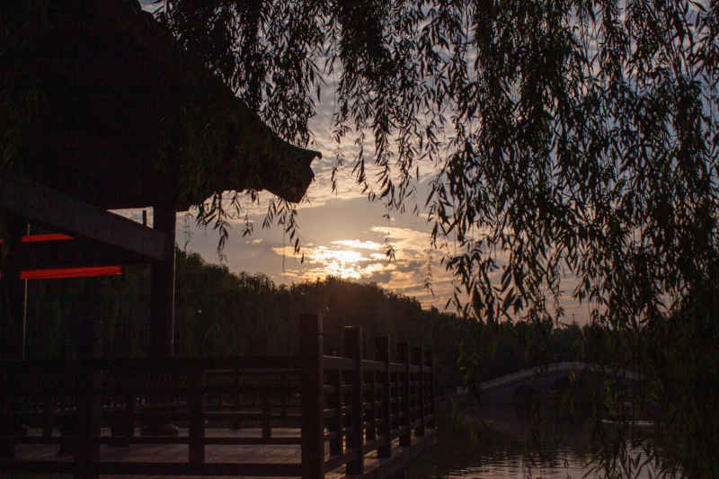 柳下夕下