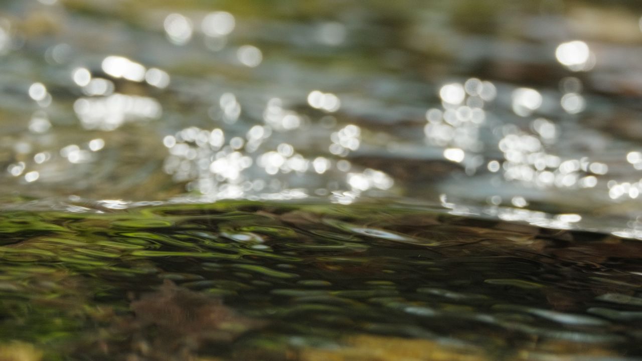 清澈山泉水温泉矿泉水小溪山涧 39
