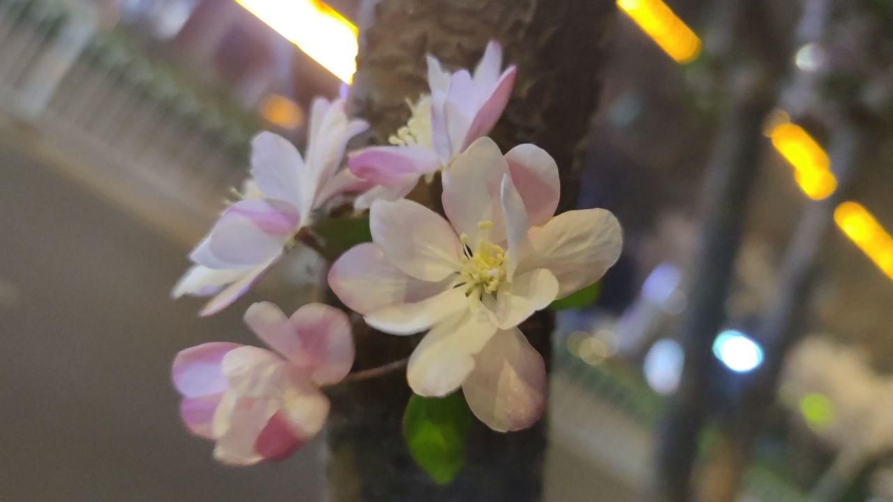 风景2