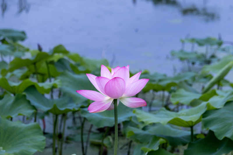 IMG_0387 拷贝