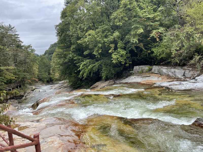 秦岭大箭沟