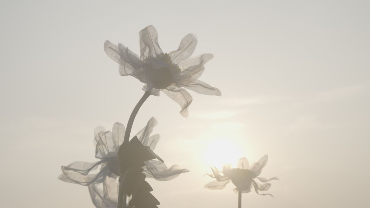 塑料花