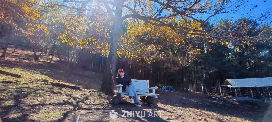 秋意栖心 林影闲情