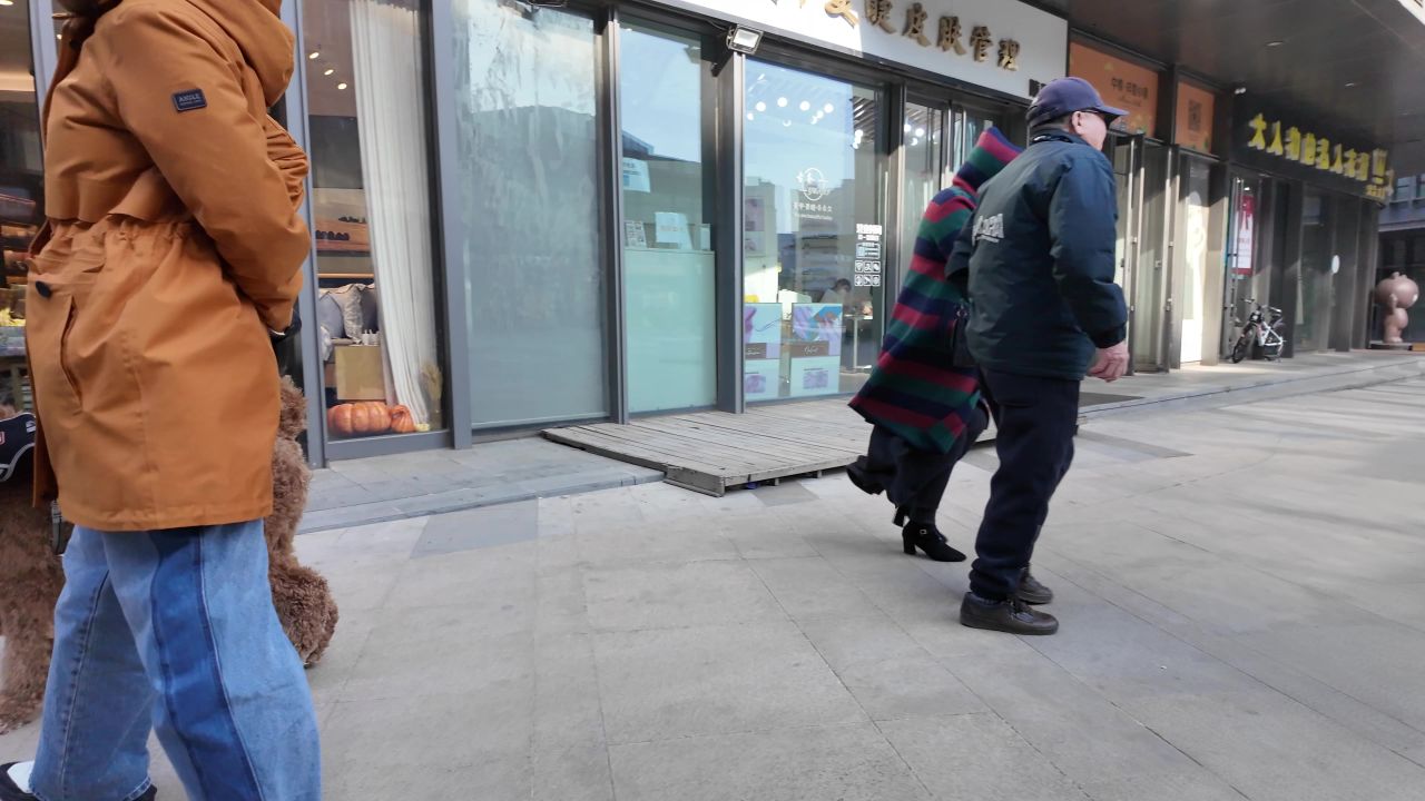 遛狗 西高地 14