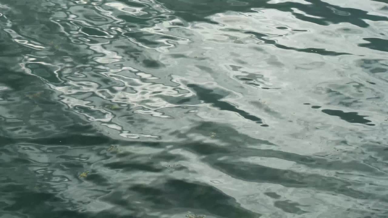 静谧的水面