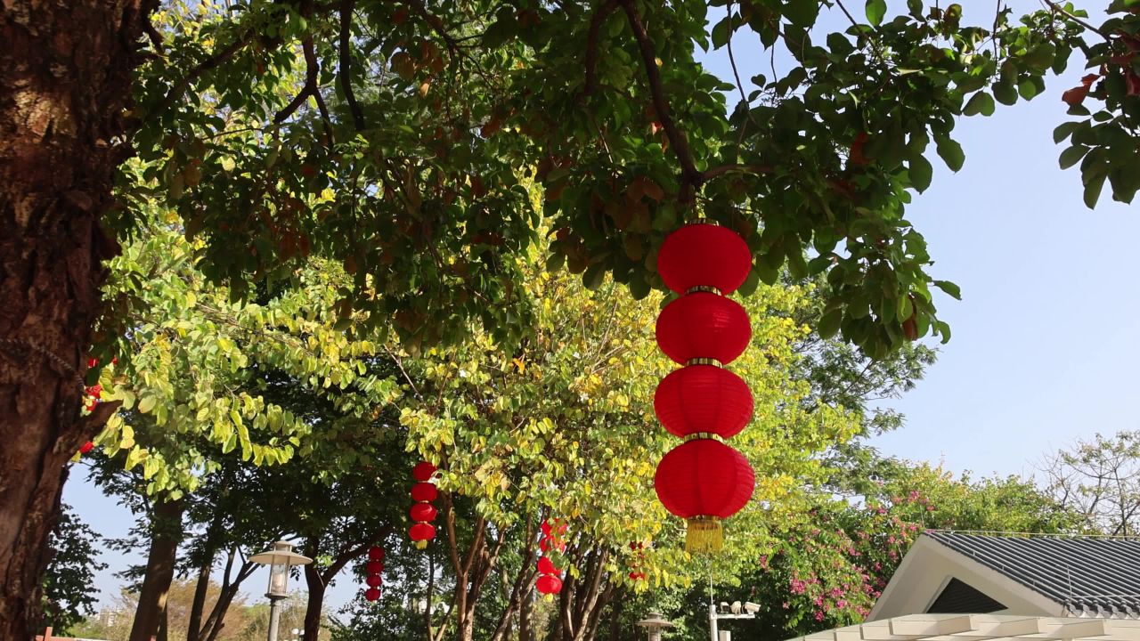 4K绿树红灯笼2