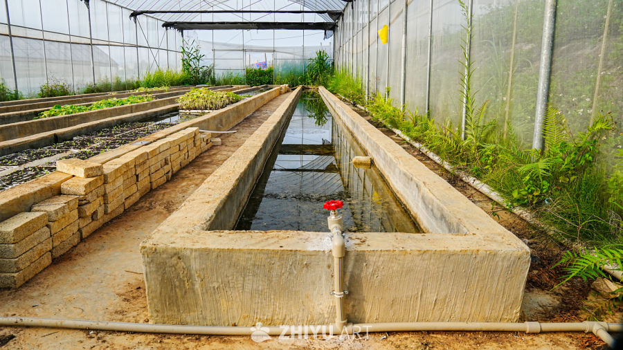 温室水培植物园
