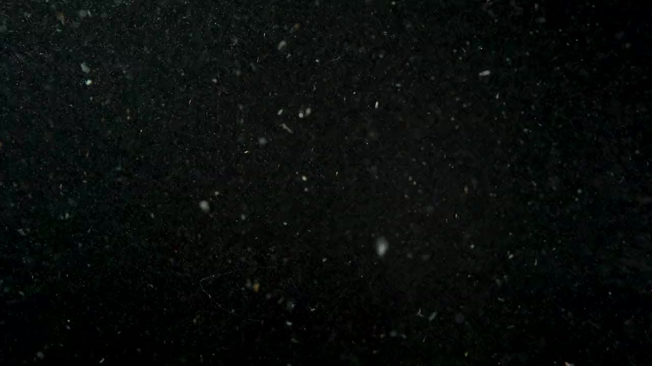 水果苹果梨子香蕉 9