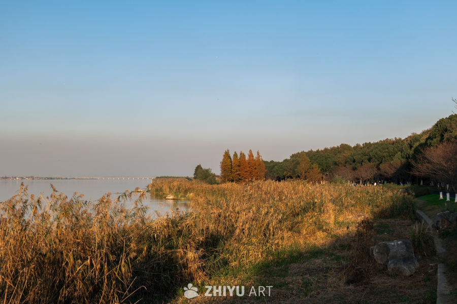 秋日湖畔静谧景
