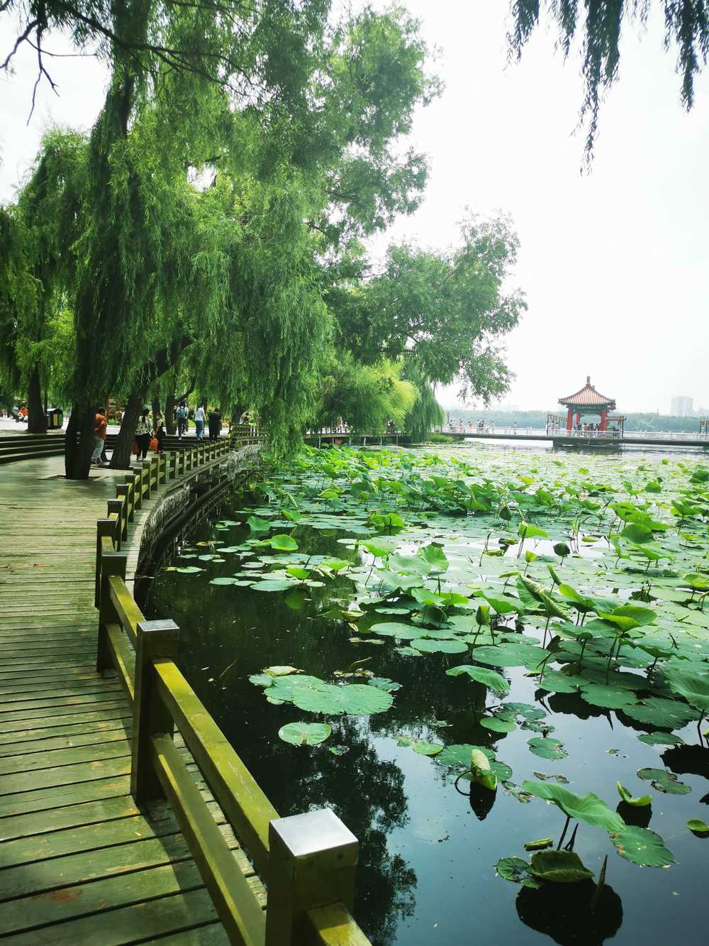 水光潋滟晴方好 风景 公园 