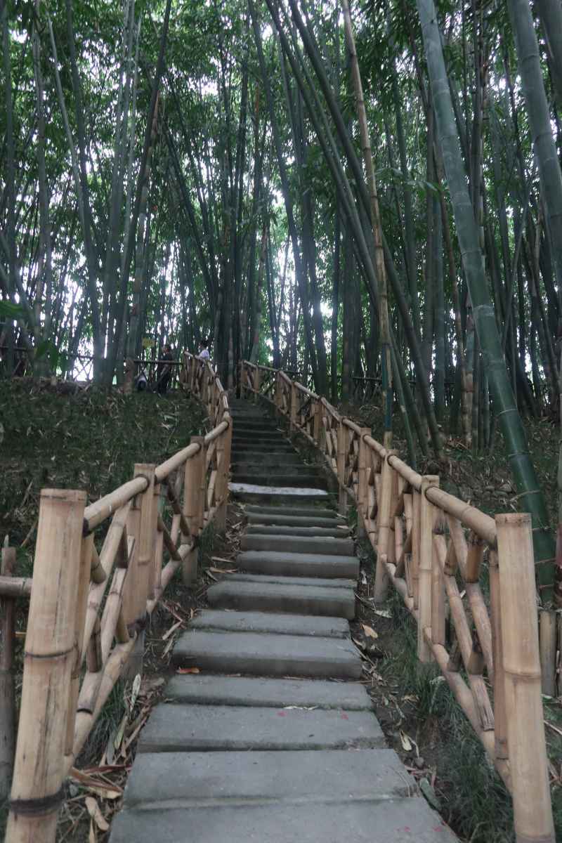 竹林