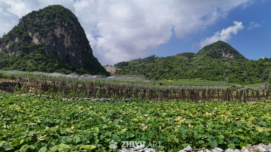 山间绿意盎然的田园风光