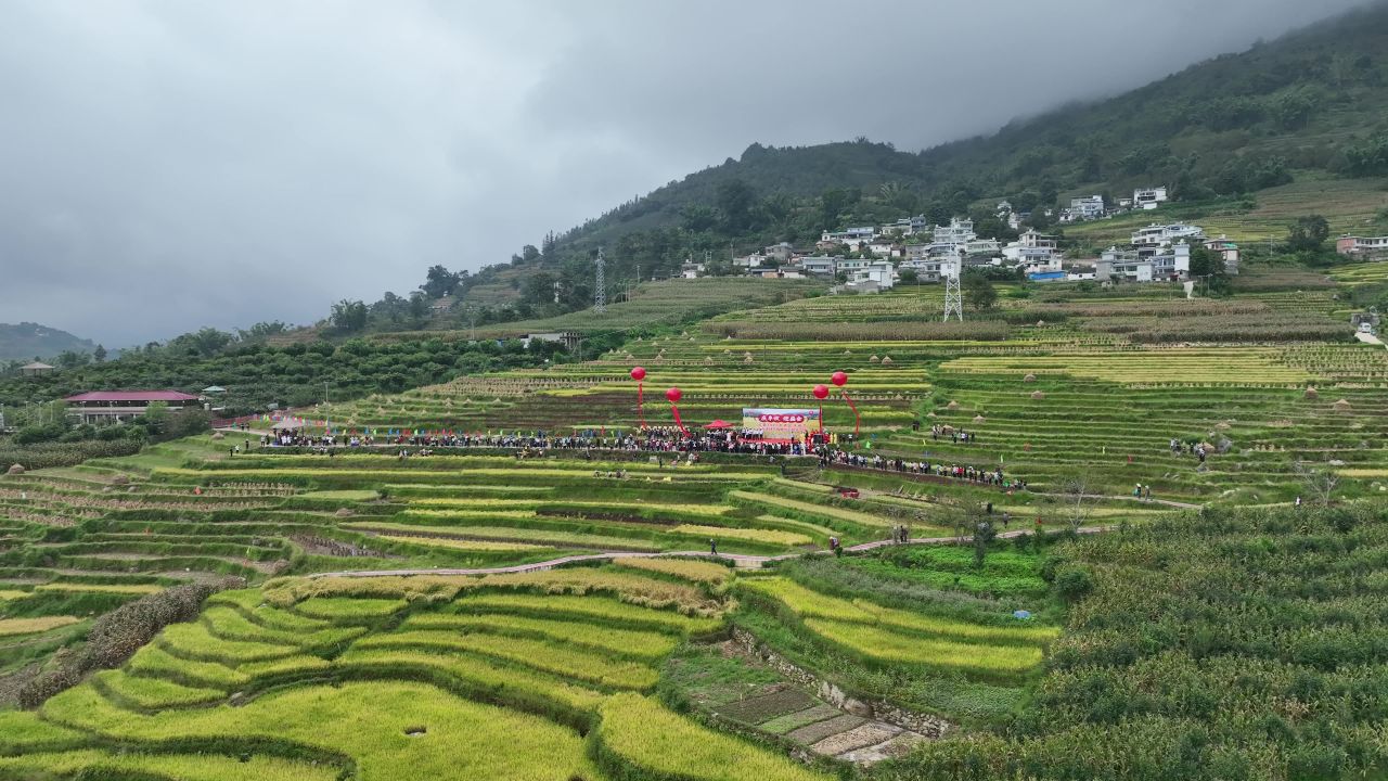 丰收的喜悦 84