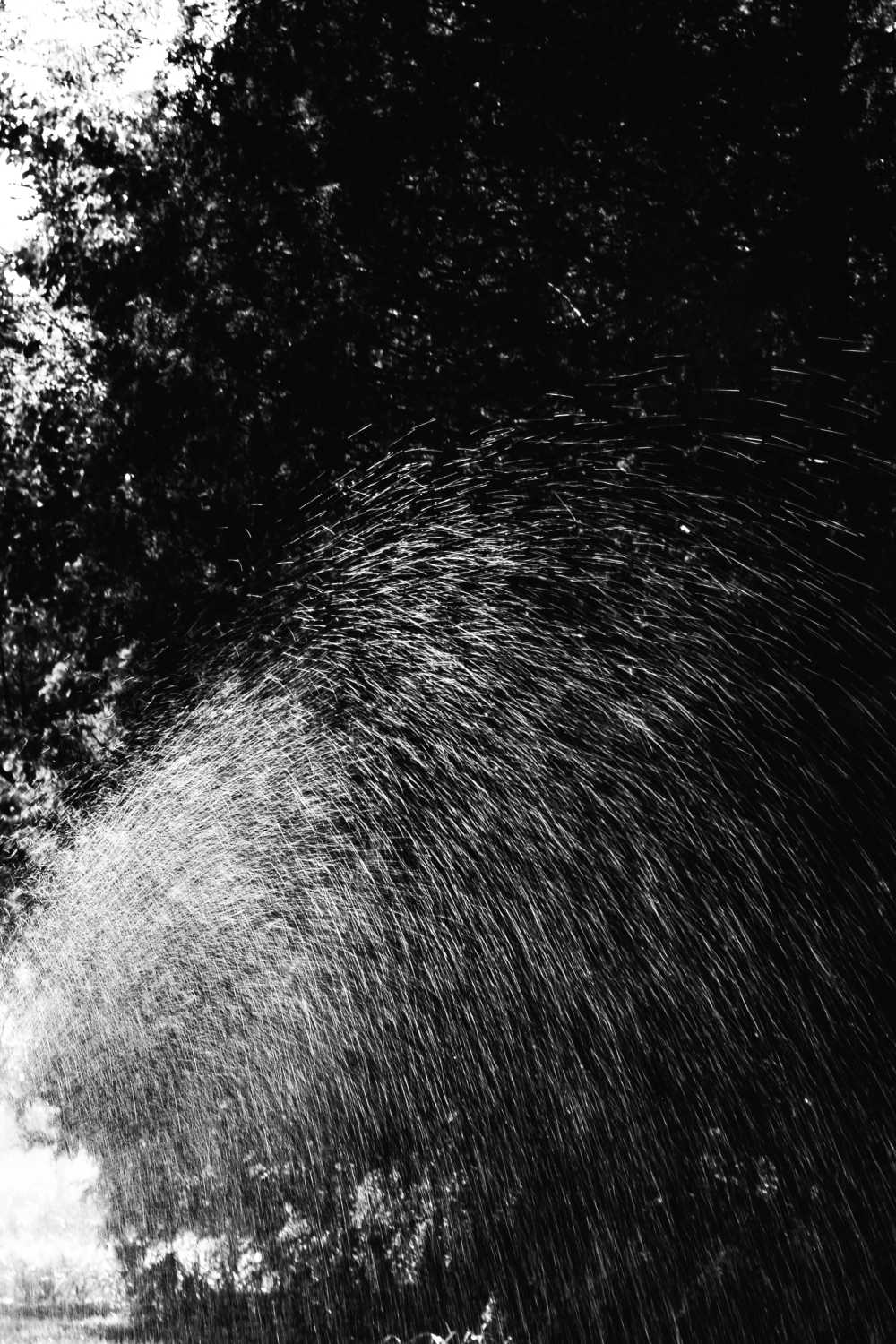 水