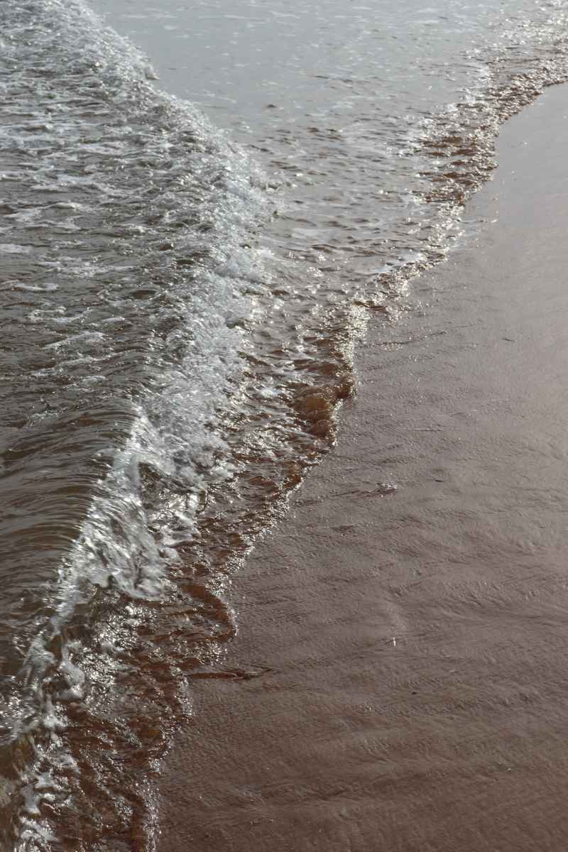 浪花