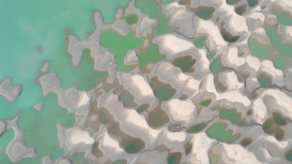 武汉天兴洲湿地