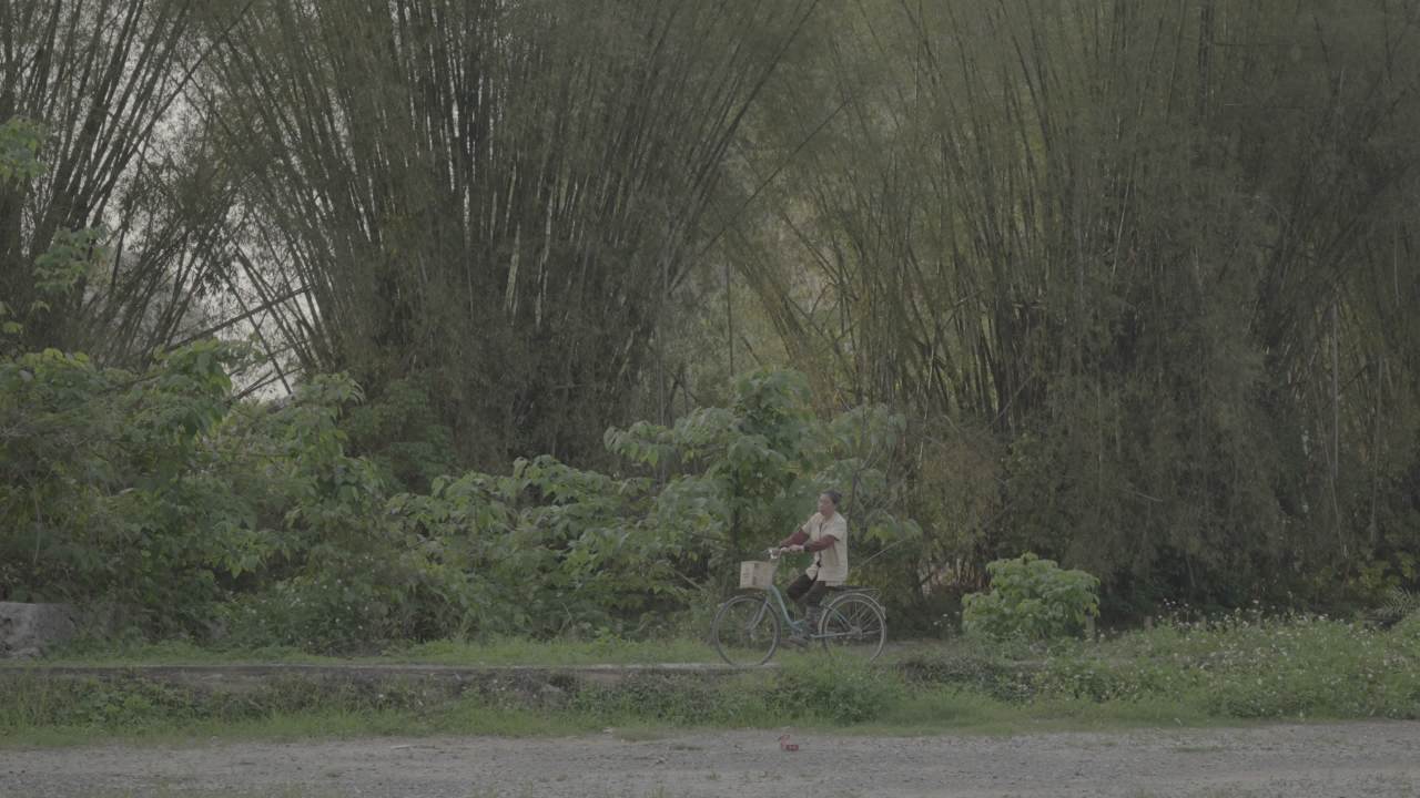 自行车 4