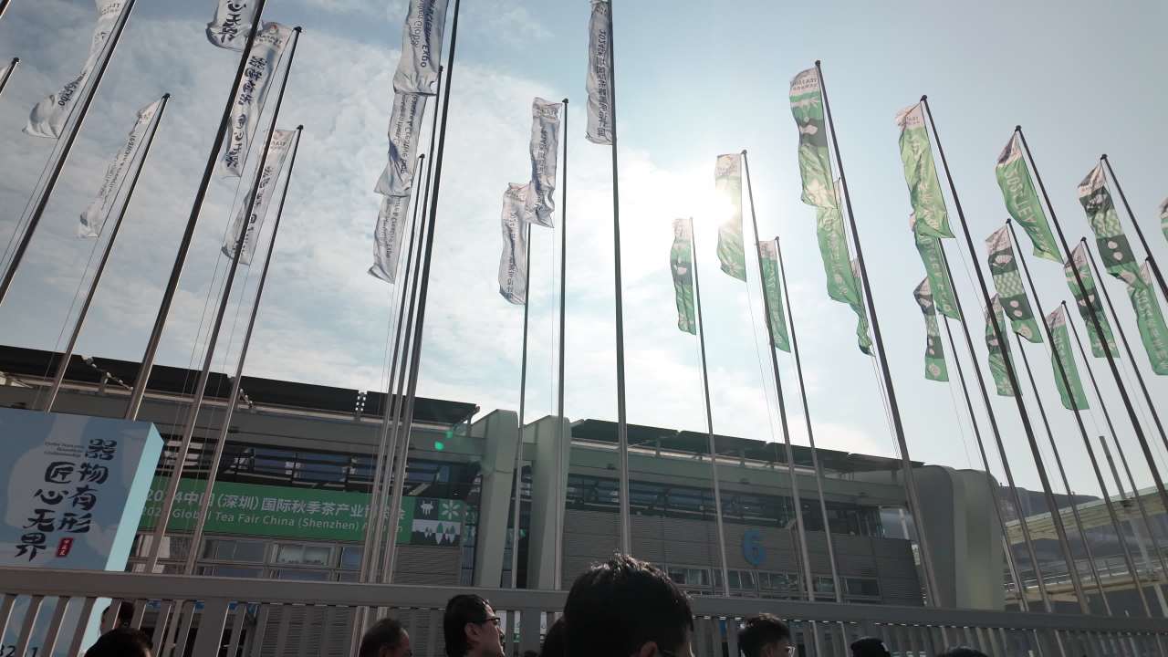 深圳茶博会素材 5
