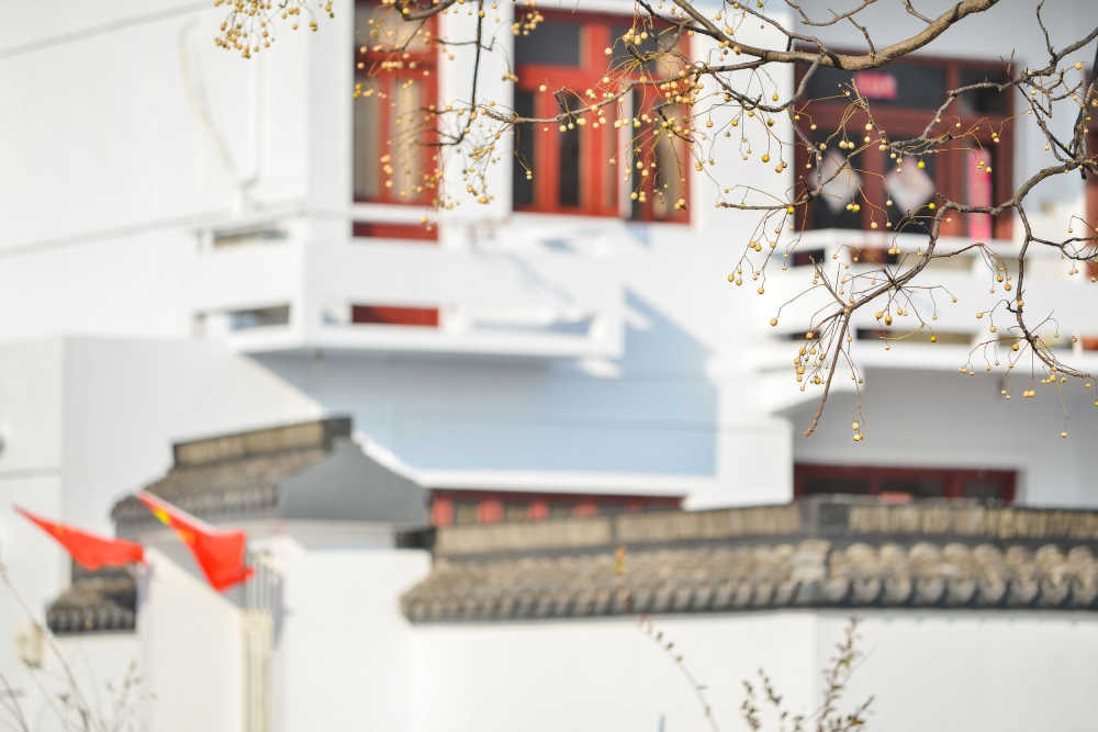 乡村振兴新风貌