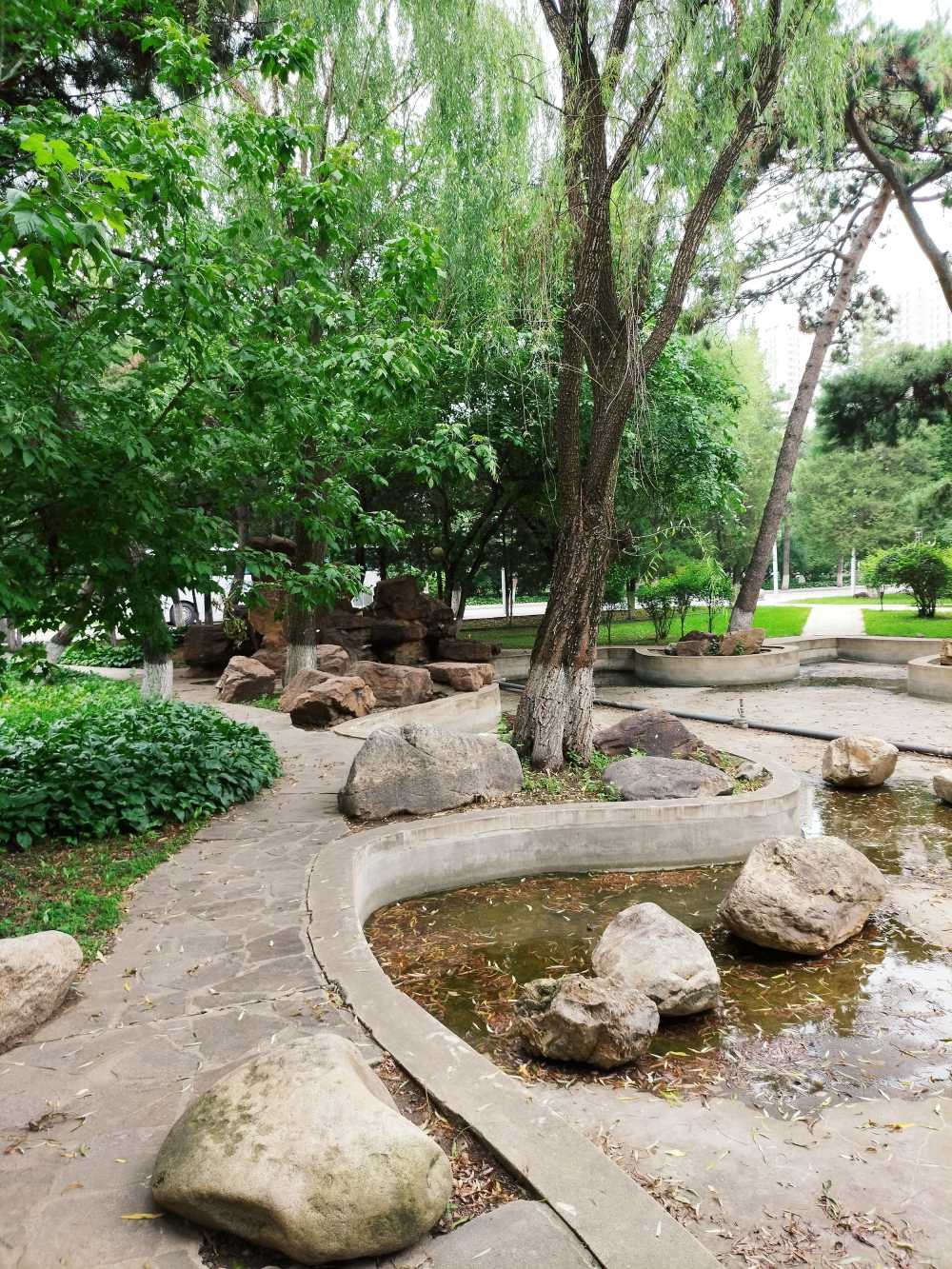 东北大学风景2