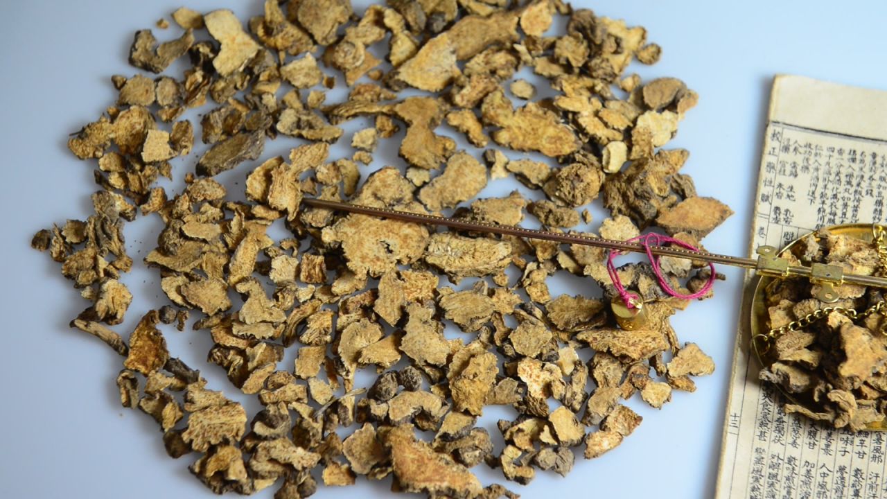 中药材苍术 24