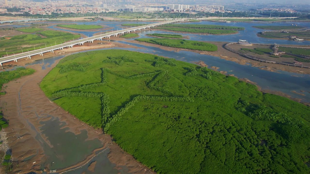 厦门航拍下潭尾湿地公园