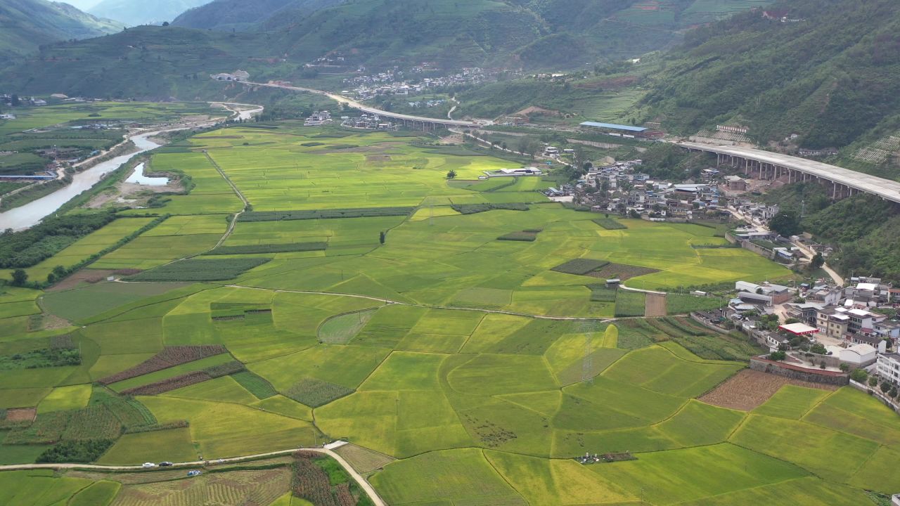 城市、稻田 20