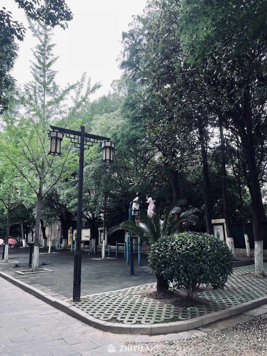 公园里的悠闲时光