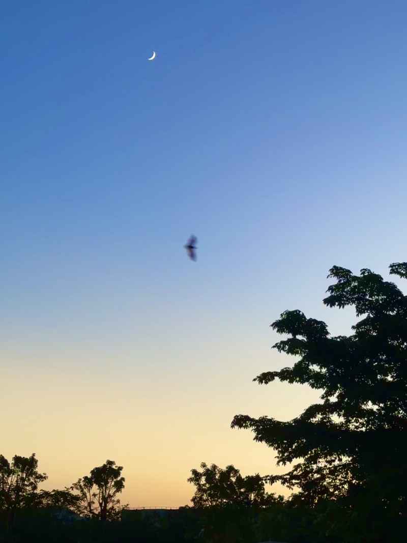 旅行的意义 19