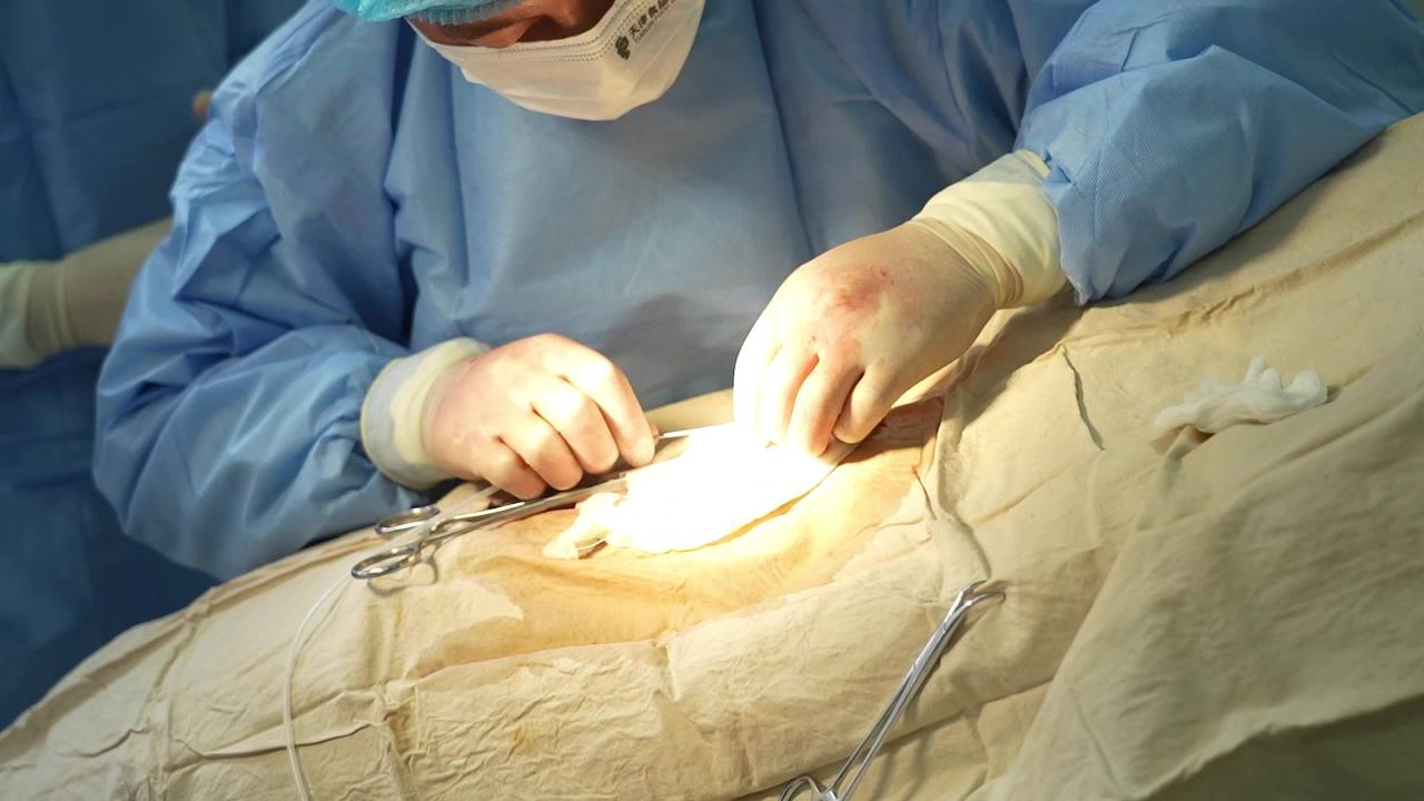 兽医胚胎手术操作及实验室检查