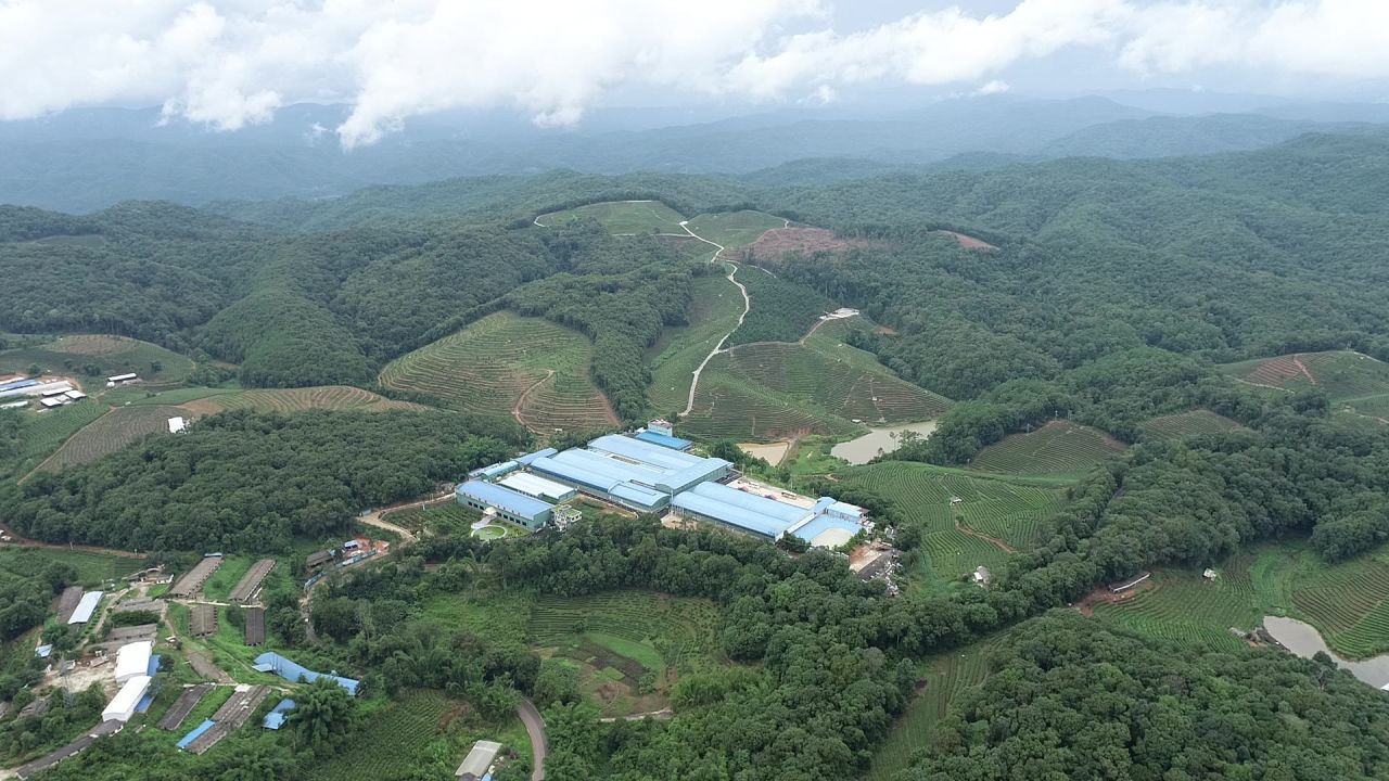 万亩茶园种植基地1