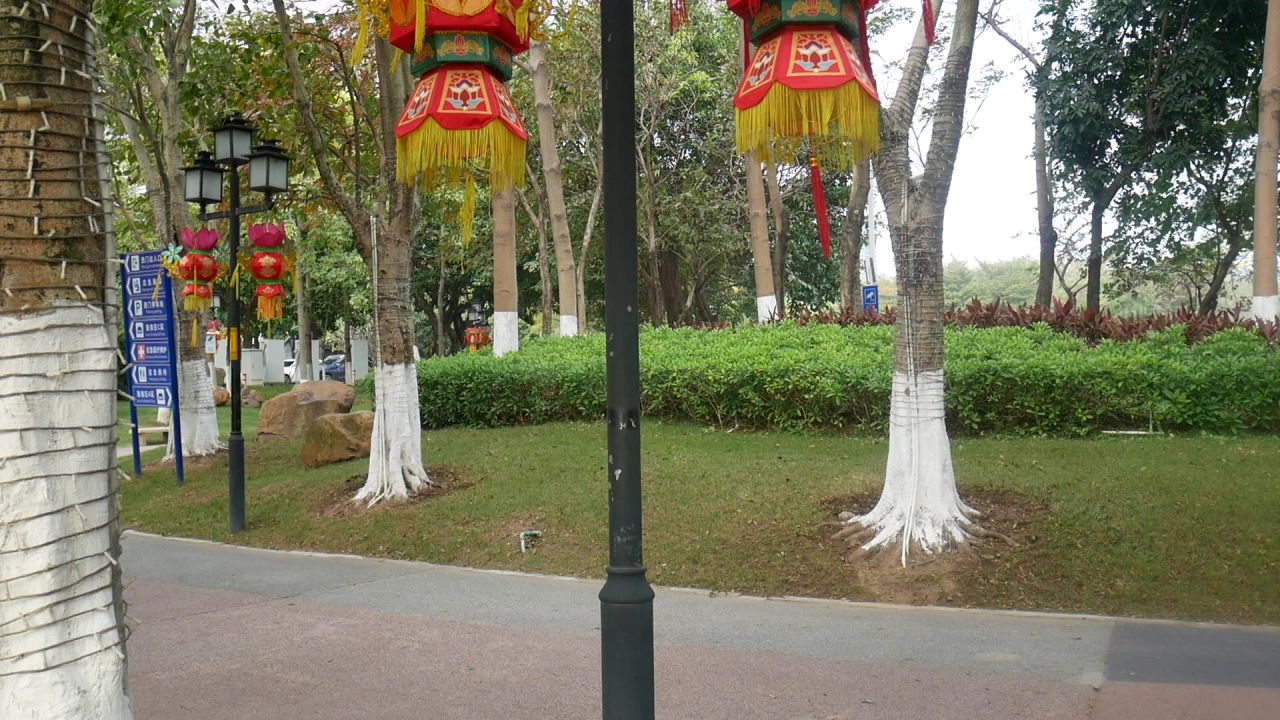 公园的路灯和宫灯4