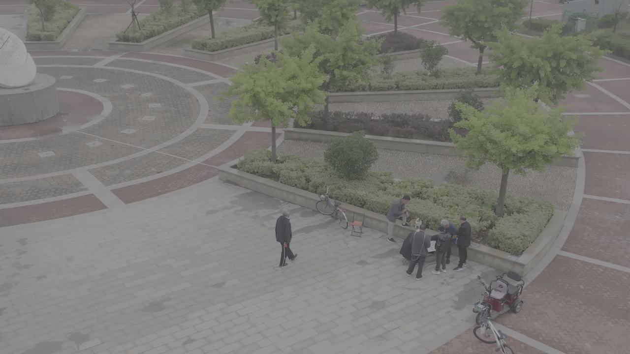 雾中公园与河流