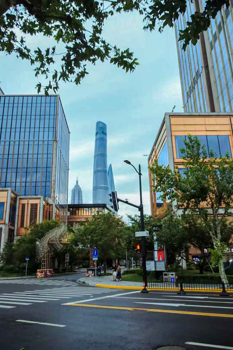 上海，是一座闪耀着现代光芒的城市。陆家嘴的摩天大楼拔地而起，直插云霄，东方明珠、上海中心大厦，它们是上海的新地标，象征着这座城市的高度与速度